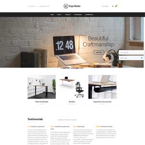 Ergo Desks