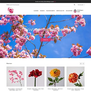 Vivhomeluxuries​